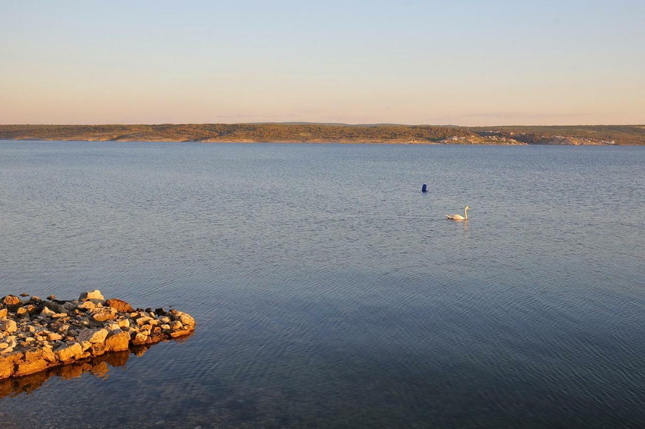 Apartman Baredine Maslenica Bagian luar foto